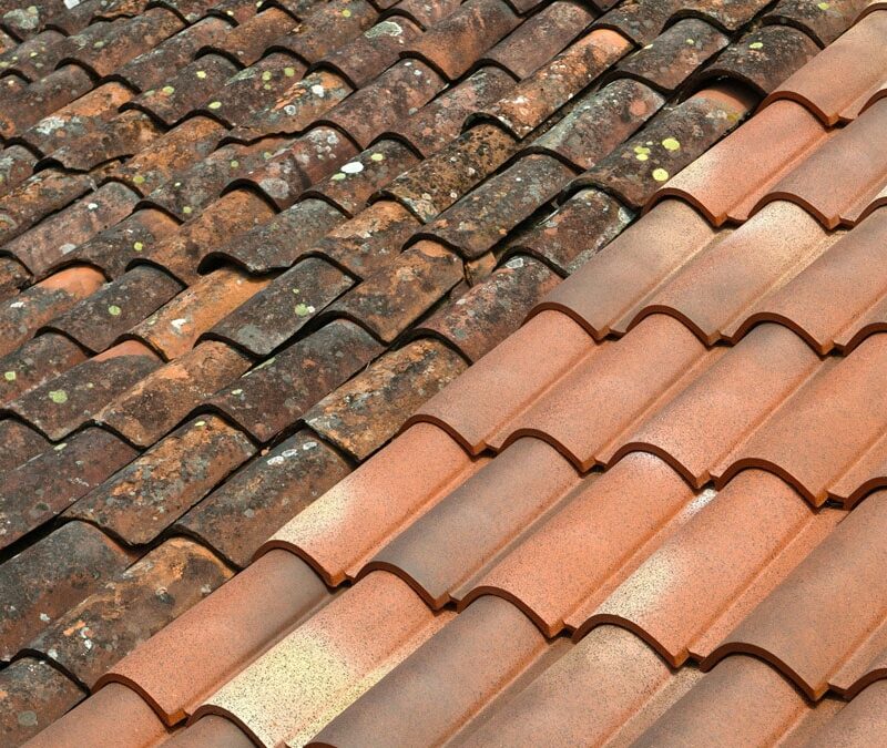 Quand faut-il faire un démoussage de toiture à Angoulême ?